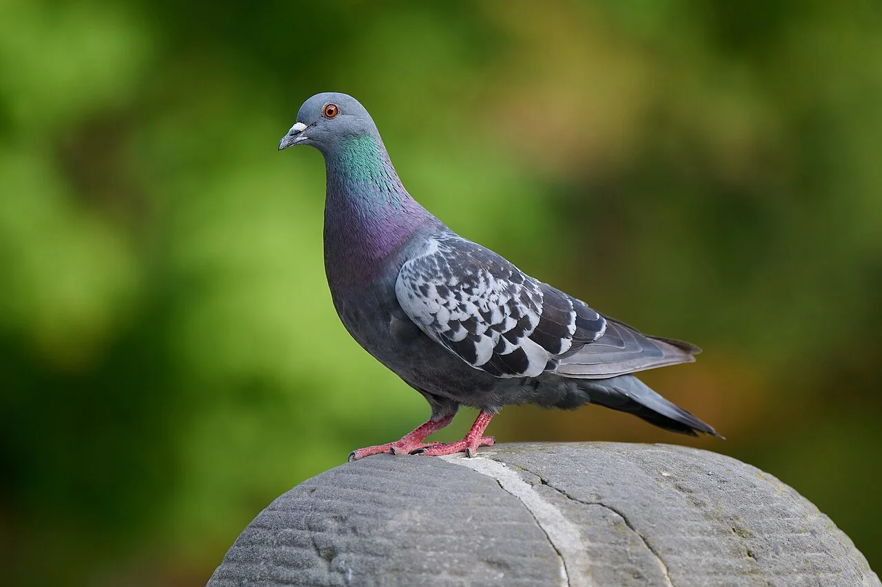 A Nova Abordagem da Como ao Luto e Suas Implicações Econômicas — Empresas