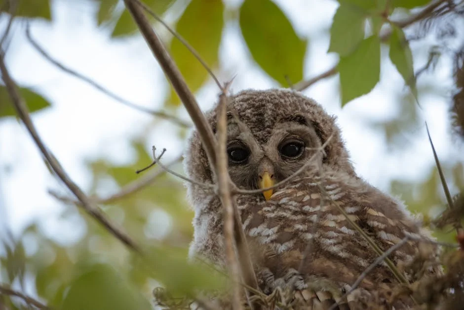 A Nova Fronteira da Saúde: Impacto da Natureza na Economia Moderna — Empresas