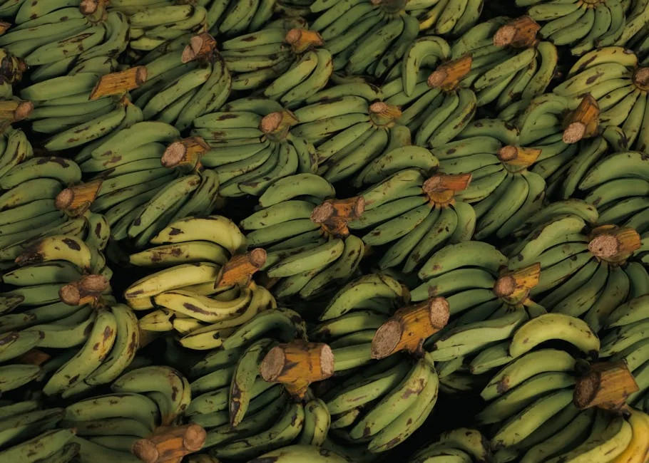 Abike Dabiri acusa Peter Obi de criar problemas para o Labour Party — Empresas