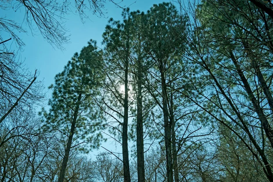 Água nas ruas de Midrand: crise hídrica afeta negócios e investidores — o que está em jogo — Empresas