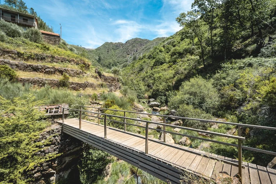 Albergaria-a-Velha inicia projeto inovador de prevenção de incêndios: o que isso significa para a economia — Empresas