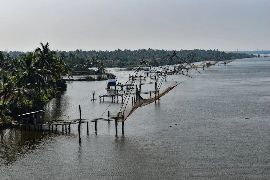 Anaicut Vira ao Foco da Crise de Infraestrutura no Sul da Índia — Politica