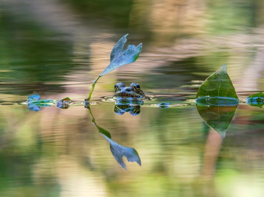 Analise de Mercado Embalagem Verde Por Fabricantes Regioes Tipo e Aplicacao Ate 2024 — industria