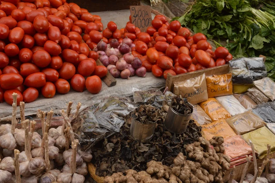 Analise de Mercado Garrafas Eco Amigavel Por Fabricantes Regioes Tipo e Aplicacao Ate 2024 — industria