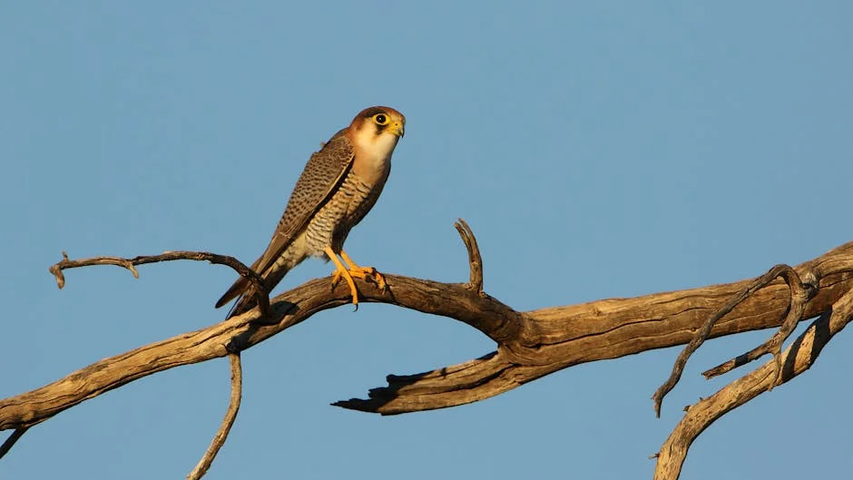 Análise do Scorecard de 2025: Avanços e Desafios em Saúde e Igualdade de Género — Empresas