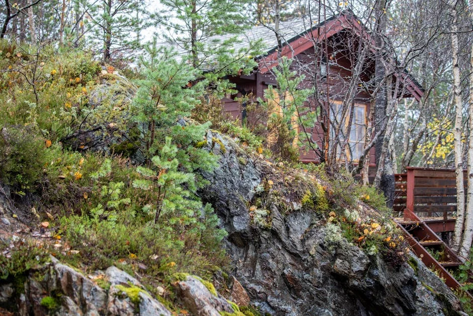 ANC condena campanha ‘PM27’: como isso afeta negócios e investidores — Empresas