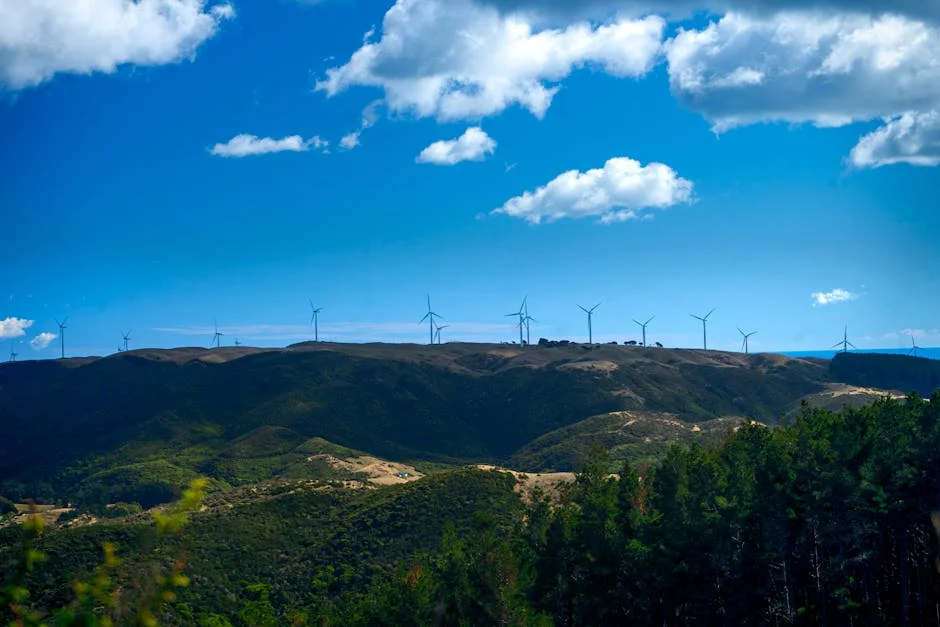 ANC expressa horror com indumentária de Winde no Parlamento — um insulto aos sul-africanos — Empresas