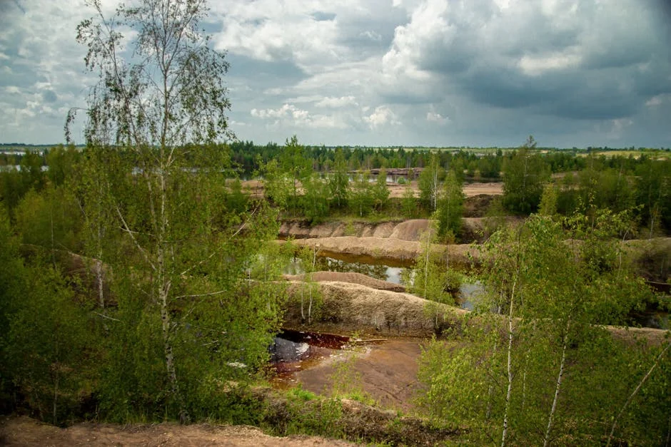 Atraso nos Concursos do SNS Pode Comprometer a Saúde em Portugal — Empresas