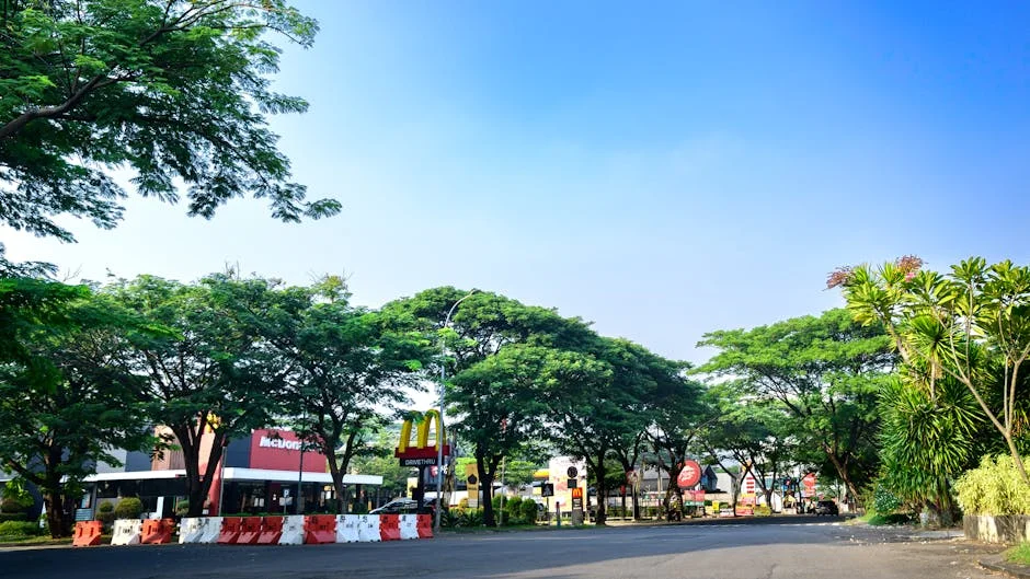 Avenida e Delgado Alves Bloqueiam Progresso Democrático em Portugal — Empresas