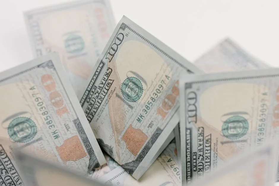 Bank of America Confirma Interesse Forte em Índia — Volatilidade Não Afasta Investidores — Mercados