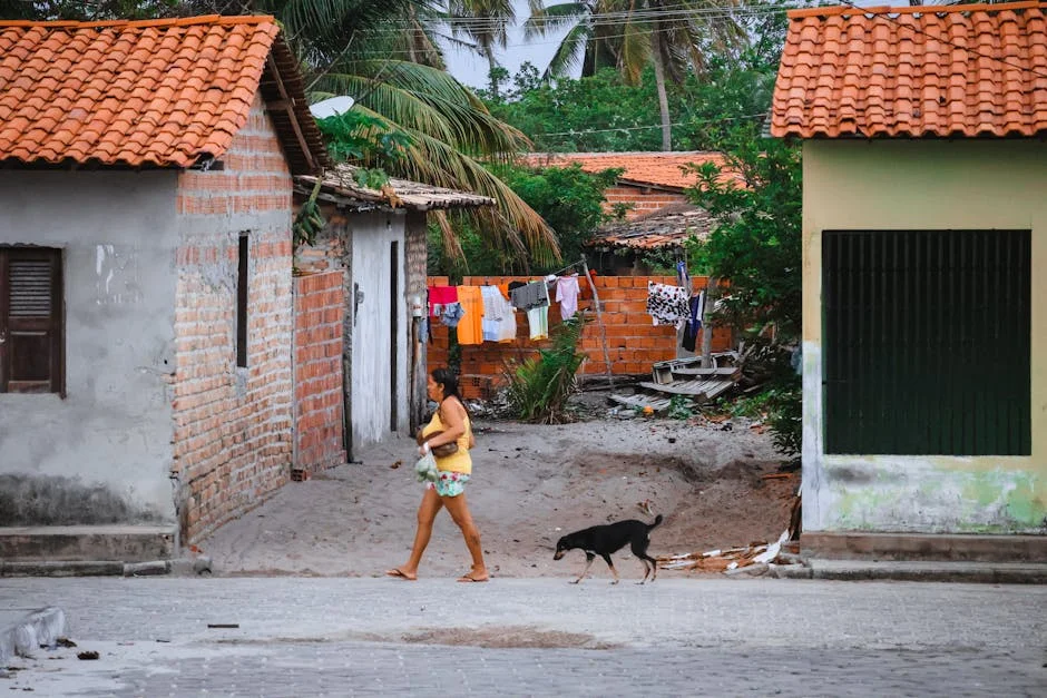 Bárbara Bandeira e Zé Amaro nomeados para prémios IPMA nos EUA — o que isso significa para a música portuguesa — Empresas