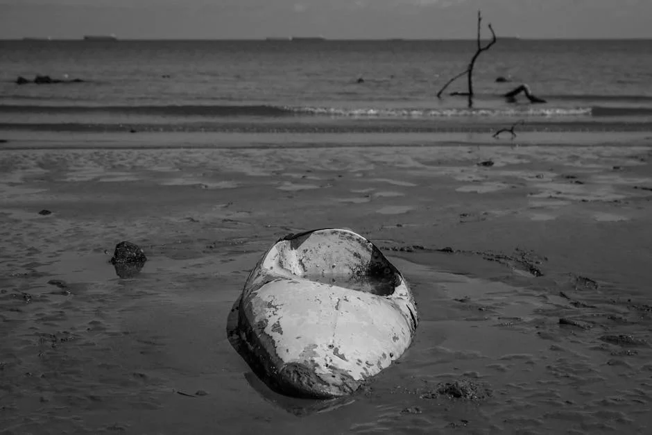 Batata Seca Flake Mercado Trends 2019 Indstria de Global Crescimento Share Size e 2022 Previso Relatrio de Pesquisa — mercados