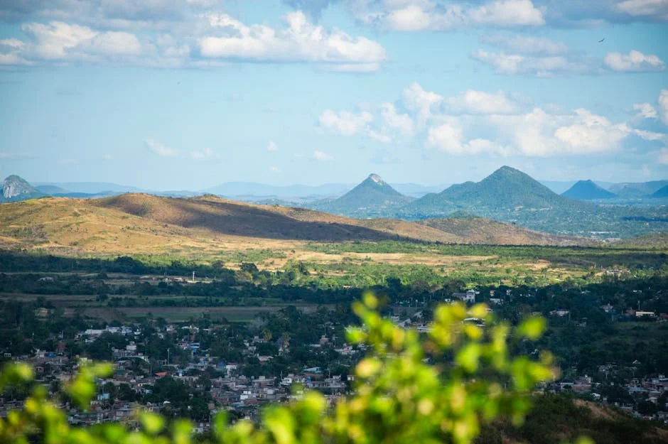 Bebês Liberados Em Dorset Afetam Ecologia Regional — Empresas