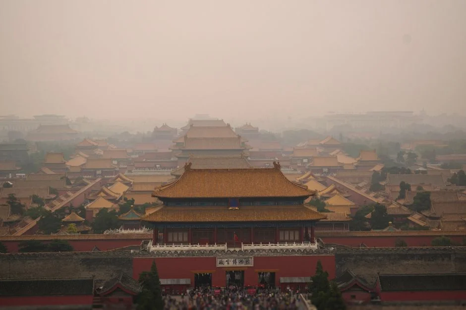 Beijing Admite Usar Tartarugas e Peixes como Espiões nas Suas Águas — Politica