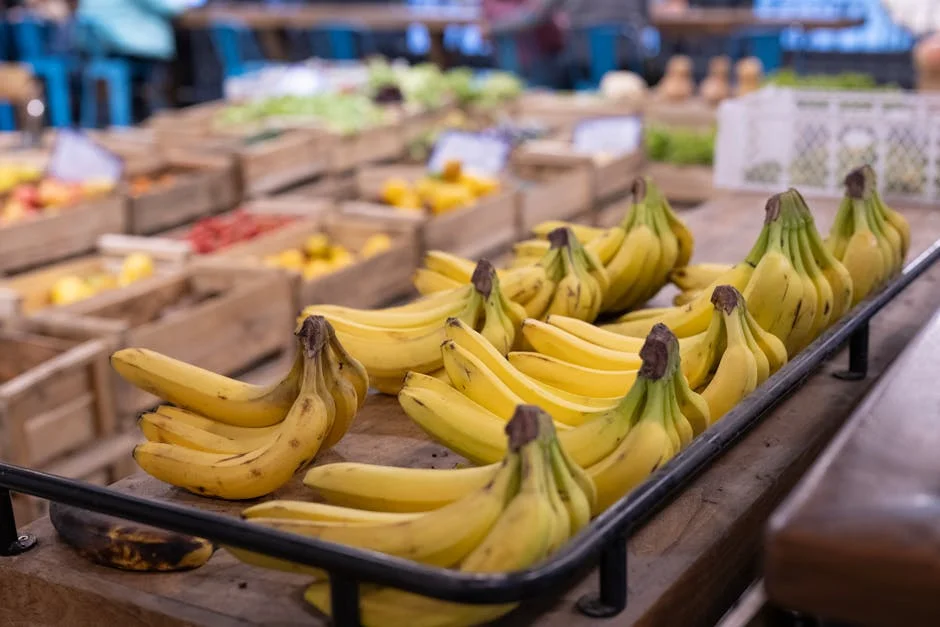 Biodiesel Mercado 2022 2024 Desempenho e Participacao de Mercado Dos Principais Fabricantes — industria