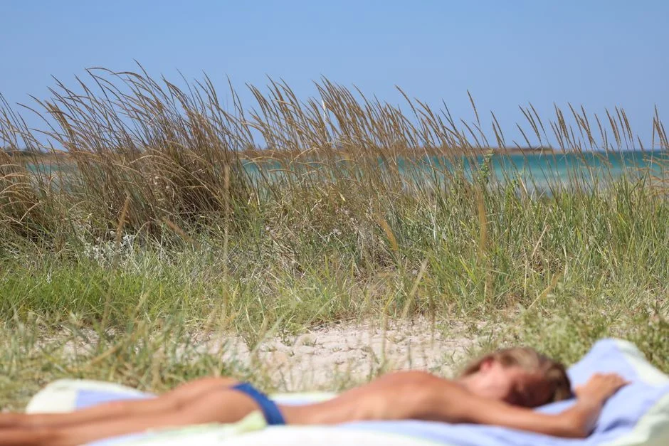 Calor Extremo na Europa: Como Proteger-se e aos Outros Agora — Agricultura