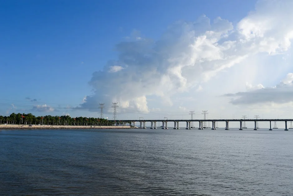 Canadianos adquirem consultora portuguesa WSS Tech: o que isso significa para o mercado — Empresas