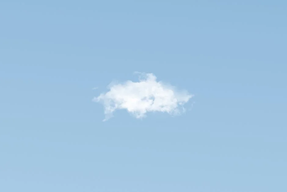 Capítulo da Cloud Security Alliance inicia nova fase de crescimento em Lisboa — Empresas