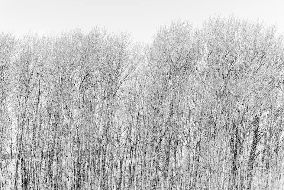 Carlos Lobo alerta que IVA na reabilitação urbana pode arrasar construtoras: o que vem a seguir — Empresas