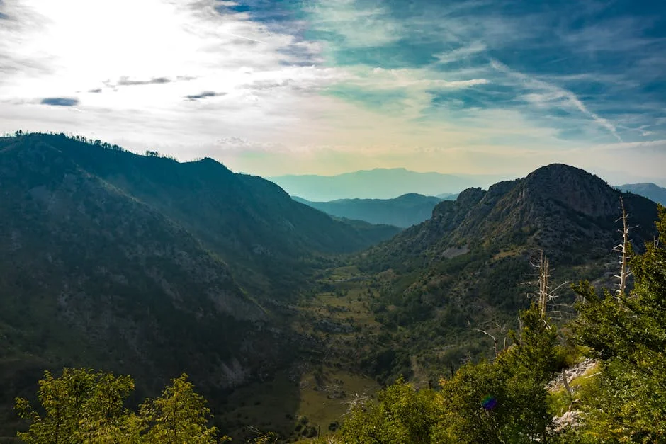 Carneiro e Montenegro reúnem-se para discutir órgãos parlamentares externos — Empresas