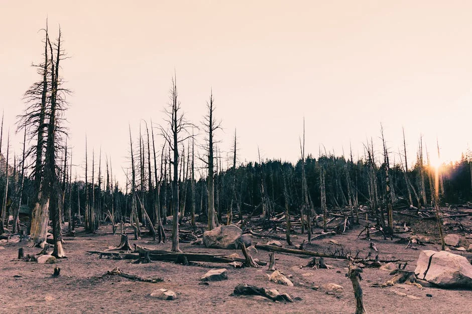 Carney ironiza com comparação de Modi: impacto nas relações Canadá-Índia — Politica