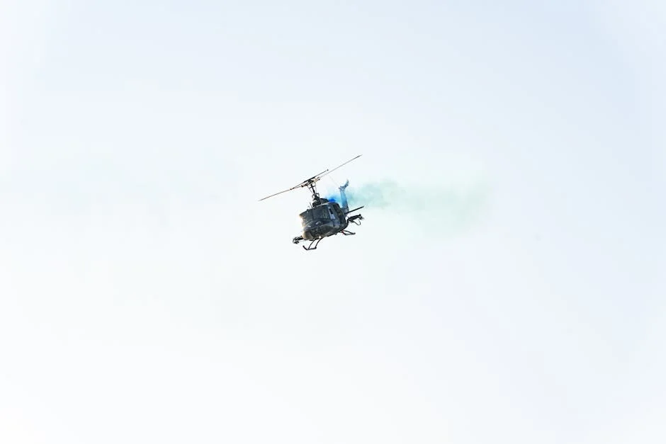 Carro atropela besouro e ele sobrevive! A física estranha por trás deste inseto invulnerável — Empresas