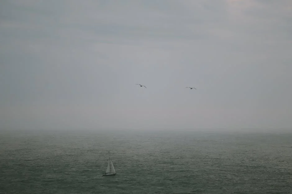 Casa da Escrita em Coimbra Renova-se e Reforça o Turismo Literário — Empresas