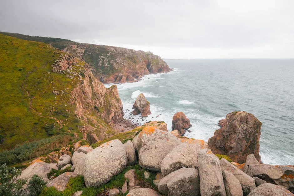 Cascais e Sintra anunciam estudos para área marinha protegida — impactos económicos em análise — Empresas