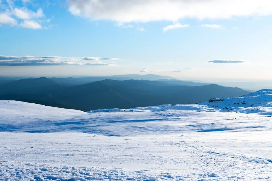 Caso do Acidente de Joshua Adiado para Março: Implicações Econômicas em Nigeria — Empresas