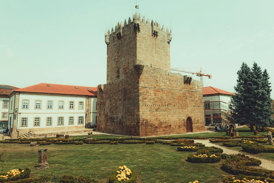 Chaves Vende Uros Milovanovic: O Que Significa Para o Mercado Português — Empresas