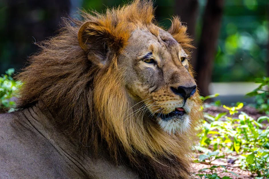 Chefe de Transportes de Telangana reafirma segurança como prioridade — o que isso significa para a economia — Empresas