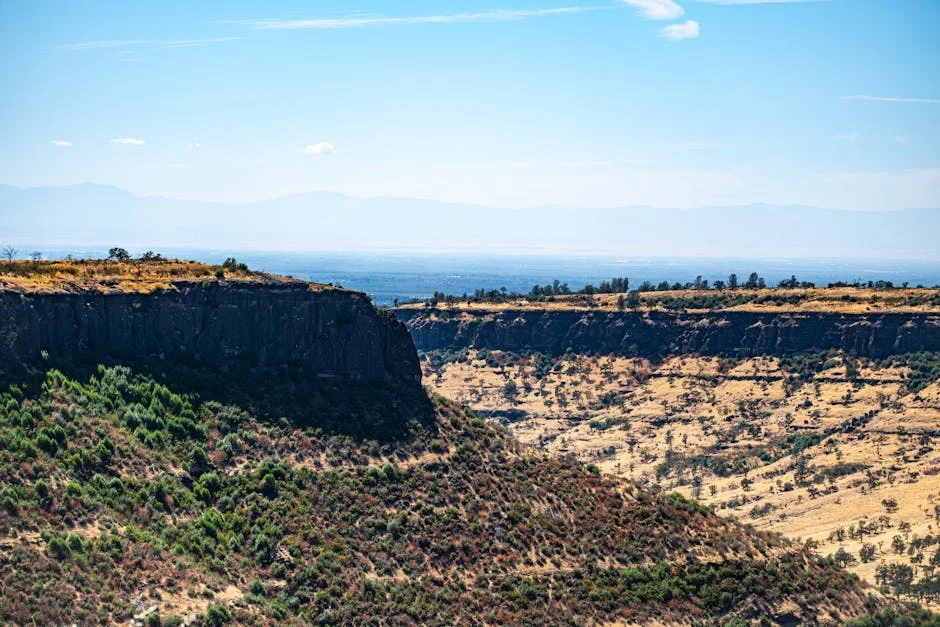 Chico César Comemora 30 Anos de 'Aos Vivos' em Portugal com Reflexões Profundas — Empresas
