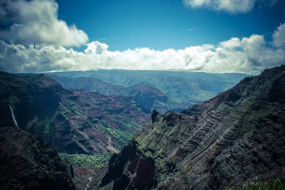 Chuck Norris hospitalizado em Kauai, Hawaii causa surpresa nos fãs — Desporto