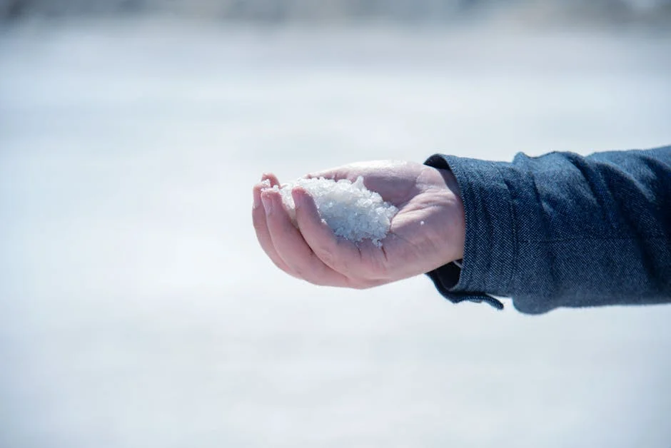 Cloreto de Sodio Mercado 2022 2024 Desempenho e Participacao de Mercado Dos Principais Fabricantes — industria
