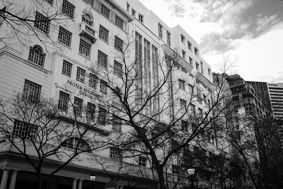 CNP Assurances reporta lucros de 1.492 milhões de euros em 2025 — impacto no mercado em análise — Empresas