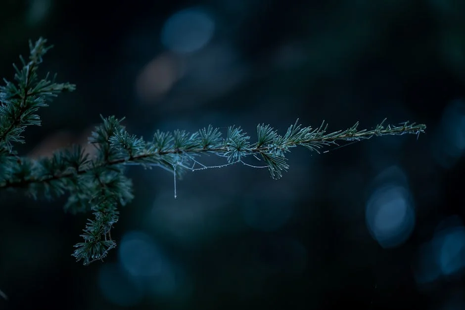 Comissão Europeia propõe extensão do roaming aos Balcãs: impacto nos negócios e mercados — Empresas