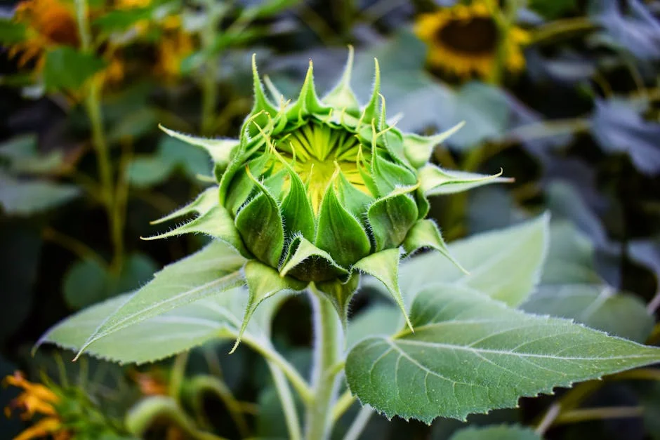 Conflito no Oriente Médio paralisa voos: impacto nas viagens indianas e na economia — Empresas