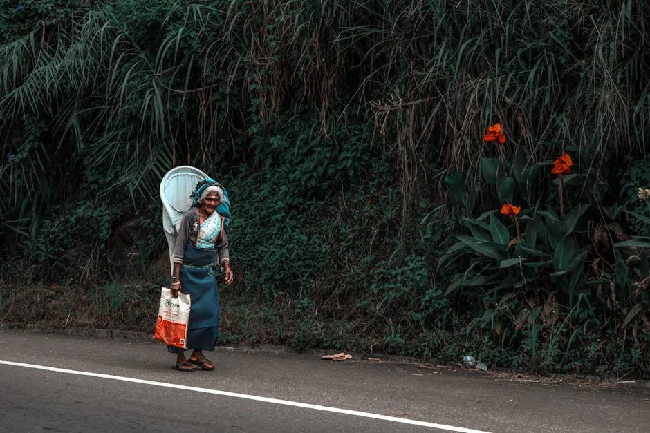 Congresso critica governo pela 'silêncio' sobre naufrágio do IRIS Dena na Sri Lanka — consequências econômicas em jogo — Politica