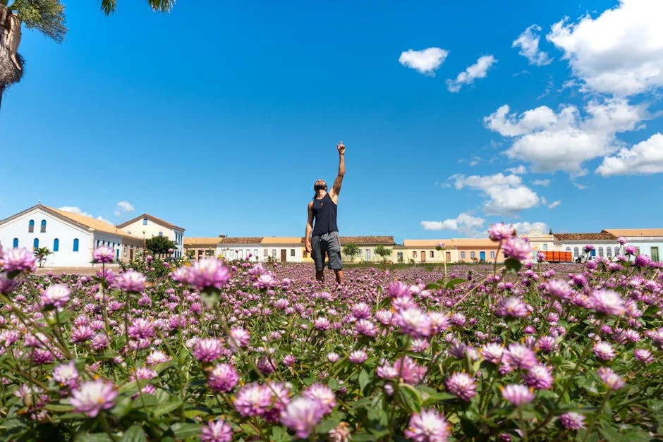 Contas da Nos e Mota-Engil revelam resultados reveladores — o que isso significa para o mercado — Tecnologia