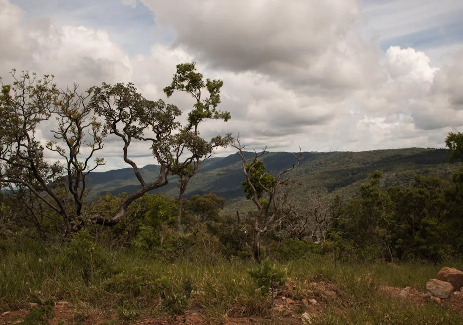 COSATU condena 'lei da selva' no setor da construção — o impacto econômico em debate — Politica