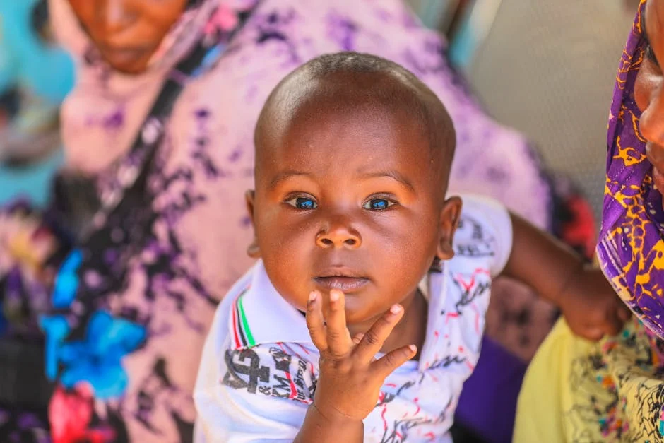 Crise em El Fasher: Um Olhar Sobre as Consequências Económicas em Sudan — Empresas