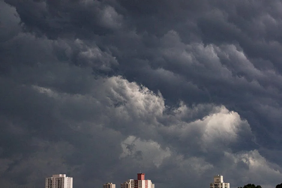 Cultura lança apoio de 12 milhões de euros pós-tempestades