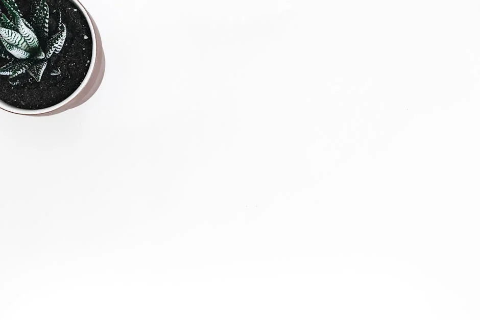 Descida do IVA da Botija de Gás em Portugal Enfrenta Desafios Legais — Empresas