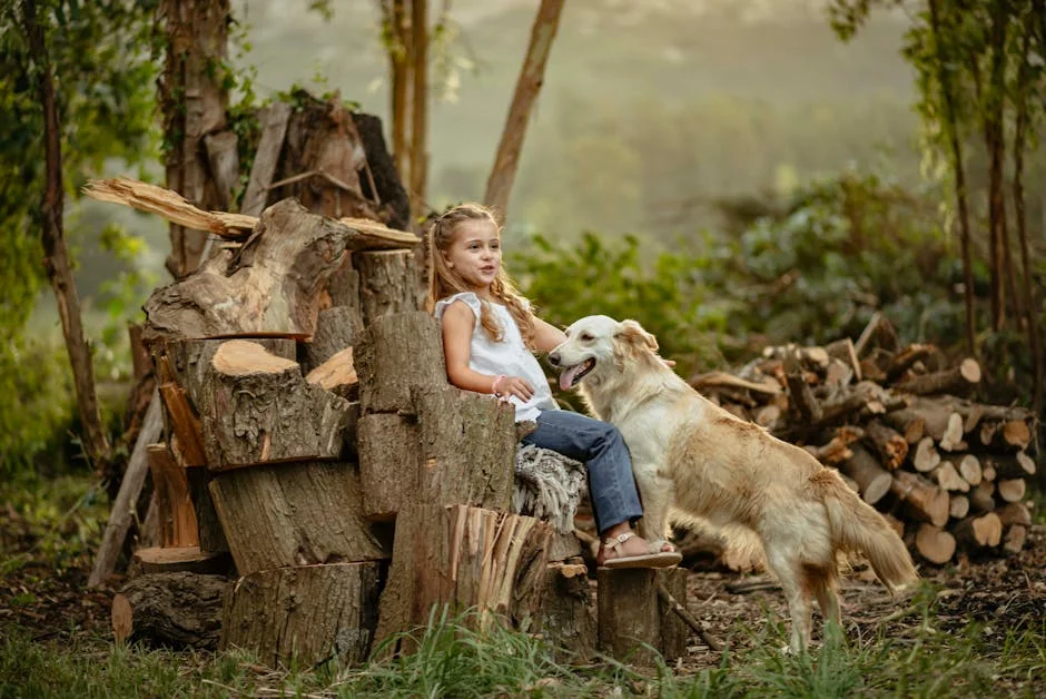 Desde celebra 21 anos com novo projeto em Lisboa — Empresas