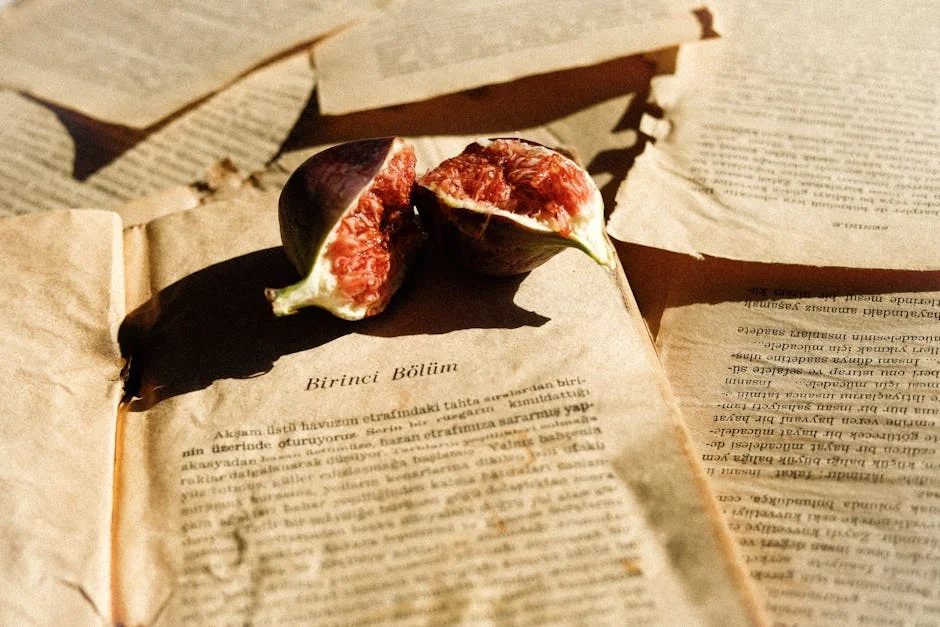 Dodgers e Blue Jays Inauguram Nova Temporada em Portugal — Empresas