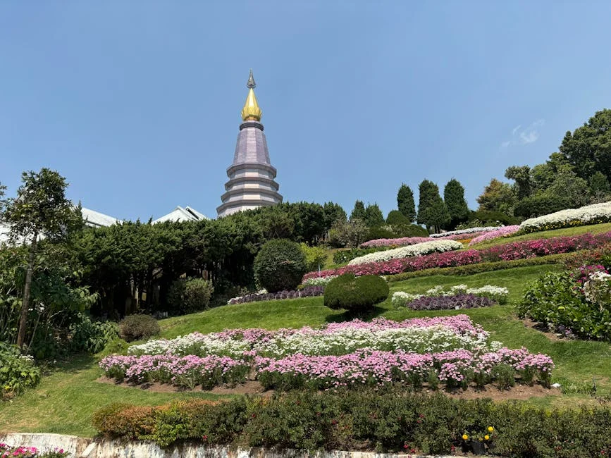 Dois ignora dois milhões de cheques-dentista não utilizados: impacto na economia — Empresas