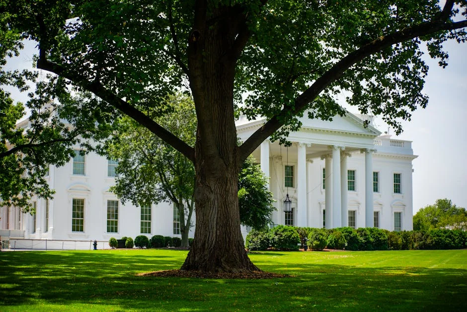 Donald Trump Assina Alivio Covid de us 900 Bilhoes Medida de Financiamento do Governo — financa