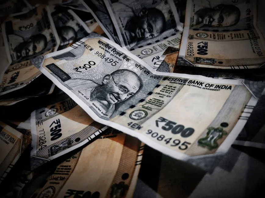 Economic Freedom Fighters critica encerramento da Showmax na África do Sul: o que isso significa — Empresas