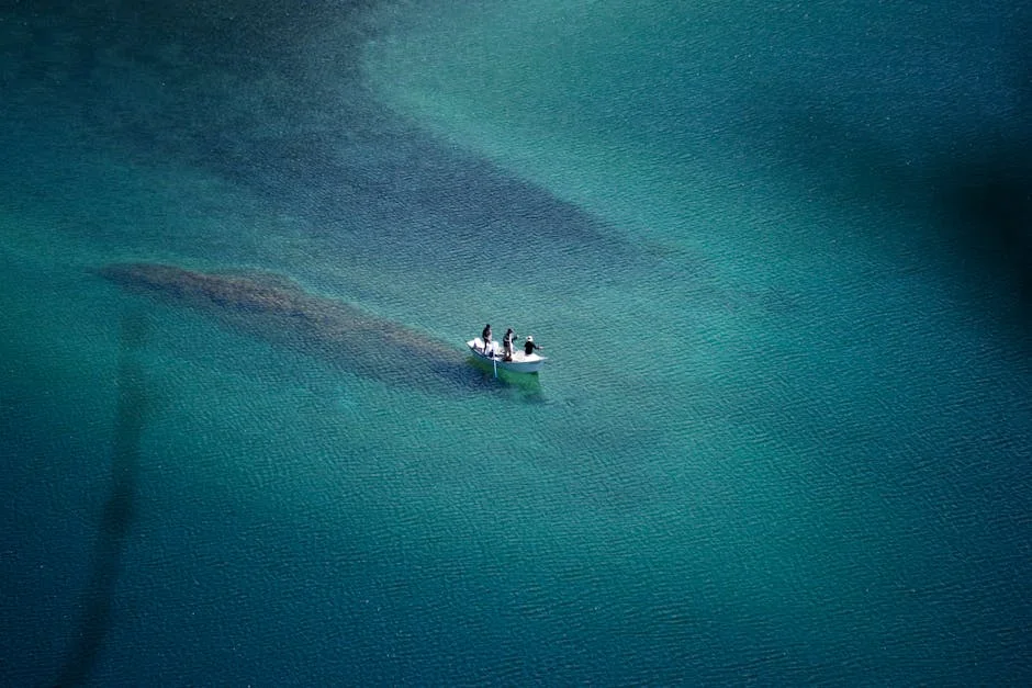 Emirados Árabes Unidos abrem 'corredores aéreos seguros': impacto nas companhias aéreas — Politica