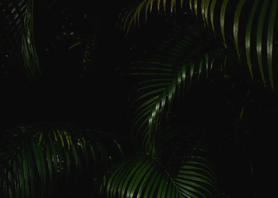 Energia Verde Mercado 2022 Concorrencia Por Tipos Aplicativos e Principais Regioes e Paises — financa